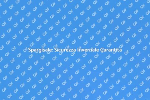 Utilità Spargisale Invernale Essenziale