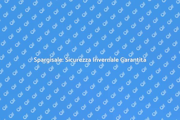 Lo Spargisale: Il Tuo Alleato Invernale