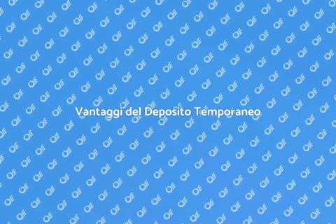 Deposito Temporaneo per Traslochi