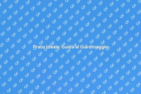 Il Prato Perfetto per il Tuo Giardino