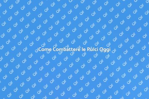 Controllo delle Pulci Efficace