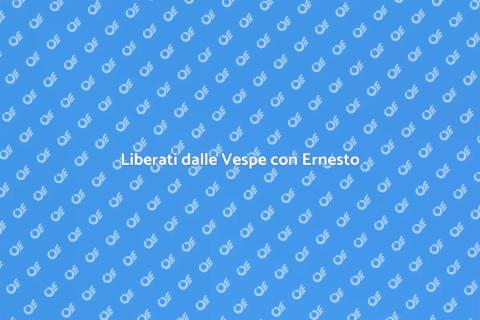 Programma Anti Vespe Efficace