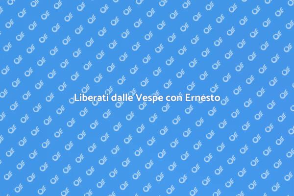 Soluzione Professionale Anti Vespe