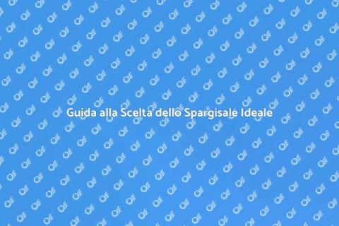 Miglior Spargisale per Strade Sicure
