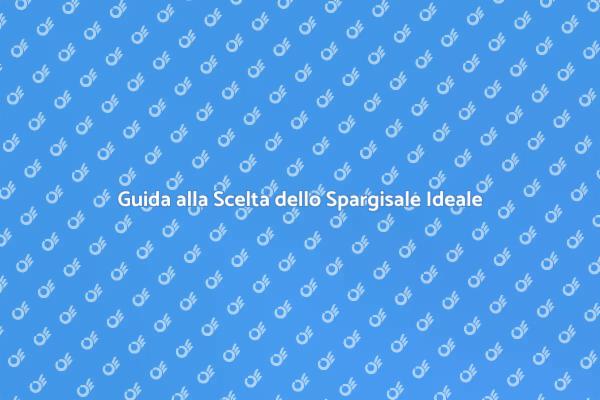 La Guida Definitiva allo Spargisale