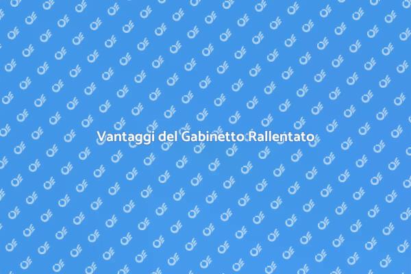 Comfort e Funzionalità del Gabinetto