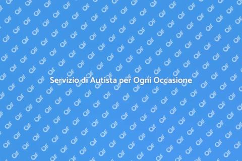 Assistenza con Autista Professionista