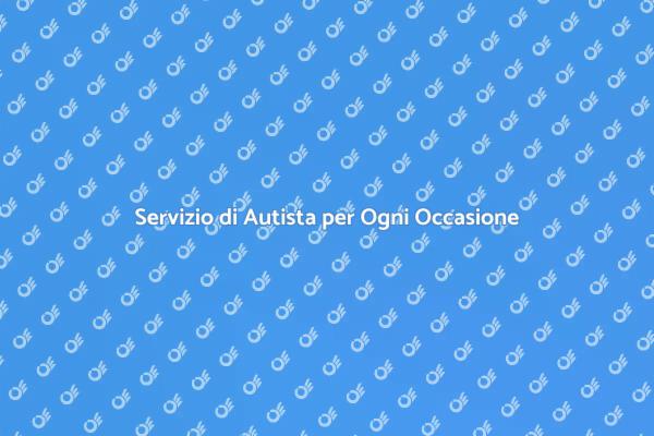 Autista Professionista: Comfort e Efficienza
