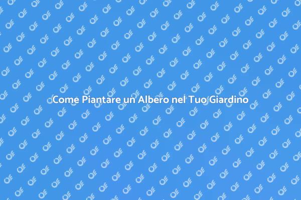 Pianta un Albero per il Futuro