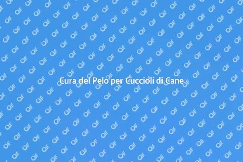 Toelettatura per Cuccioli di Cane