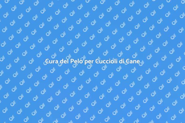 Toelettatura: Salute e Comfort per Cuccioli