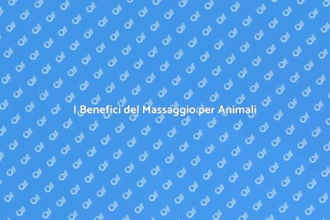 Massaggiatore Qualificato per Animali