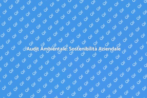 Audit Ambientale: Un Passo Necessario