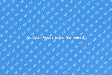 Acquario Perfetto per Gamberetti