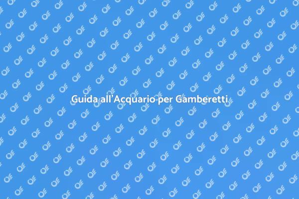 Come Creare un Acquario per Gamberetti