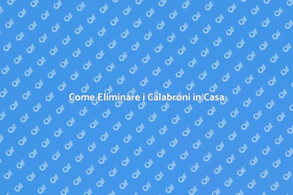 Calabroni: Come Difendere la Tua Casa