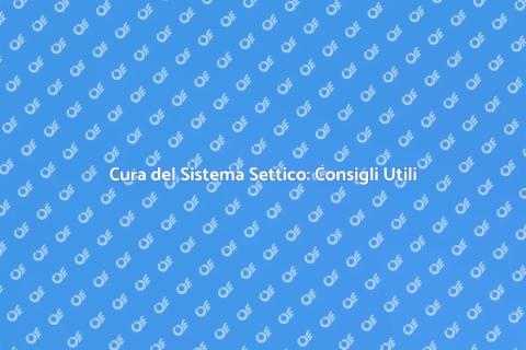 Manutenzione Sistema Settico: Guida