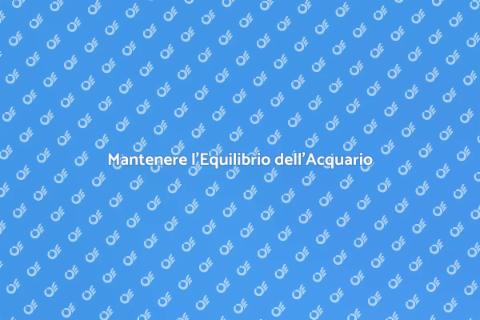 Equilibrio Idrochimico Acquario
