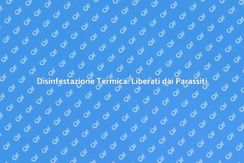 Disinfestazione Termica: Soluzione Parassiti