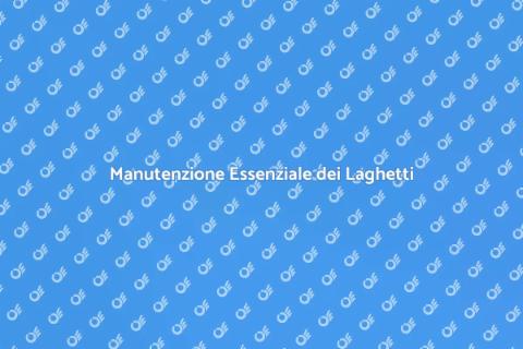Pulizia e Manutenzione Laghetti Ornamentali