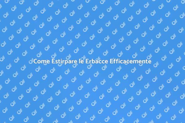 Estirpazione Efficace delle Erbacce