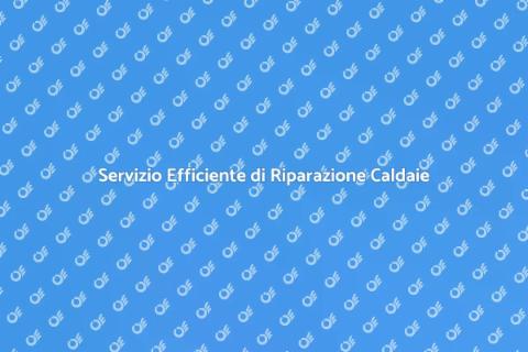 Riparazione Caldaie a Gas Professionale