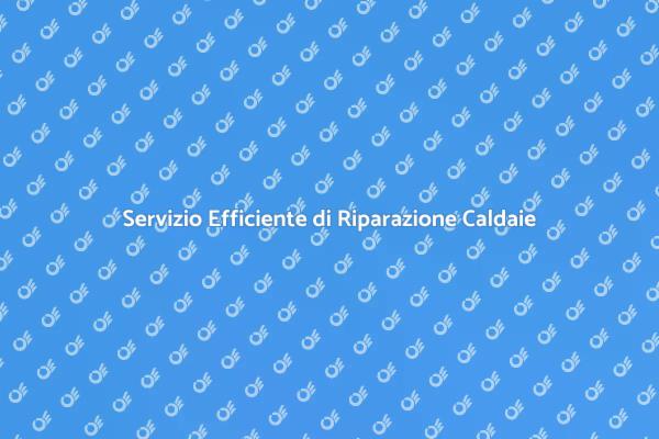Esperti in Riparazione Caldaie a Gas