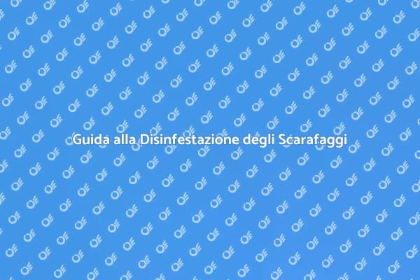 Come Eliminare gli Scarafaggi in Casa