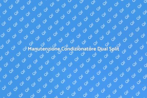 Assistenza Condizionatore Dual Split