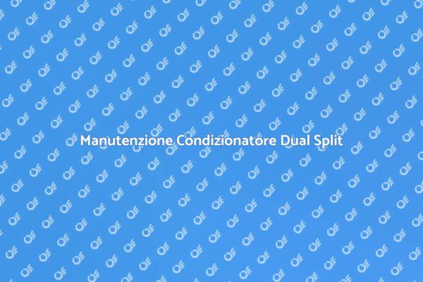Assistenza per Climatizzatori Dual Split