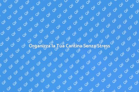 Svuotare Cantine Senza Stress