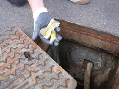 Leonessa Disinfestazione - Impresa di Pulizie  - Foto 4