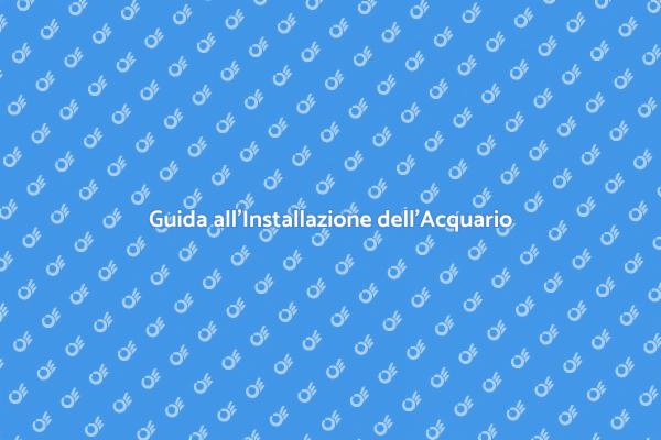 Installare un Acquario: Tutto Quello che Devi Sapere