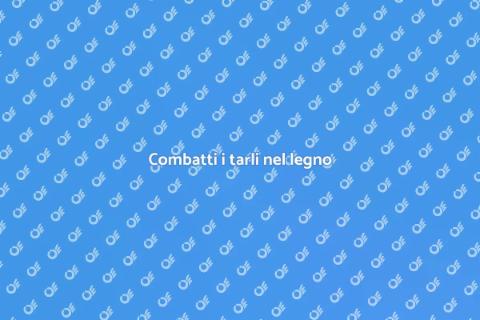 Prevenire i tarli nel legno