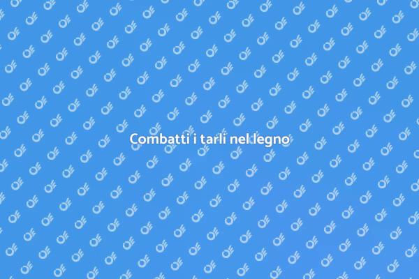 Difendi il tuo legno dai tarli