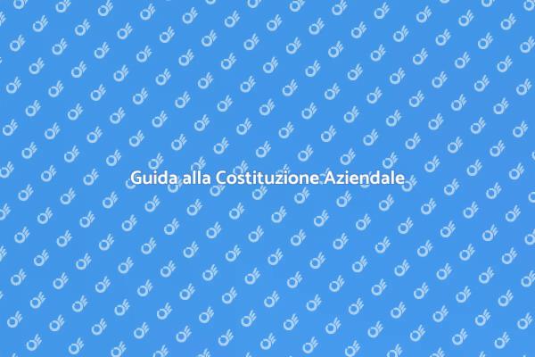 Naviga la Costituzione con Esperti