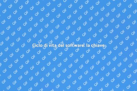 Gestione ciclo vita software efficace
