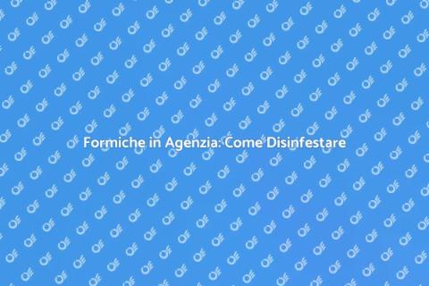 Disinfestazione Formiche in Agenzia