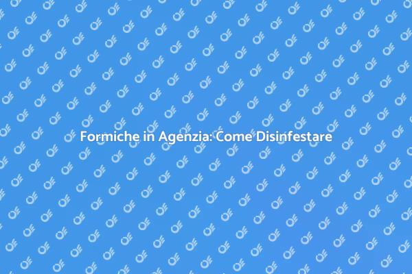 Come Gestire Formiche in Agenzia