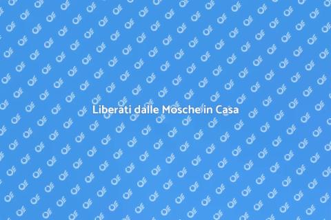 Disinfestazione Periodica per Mosche