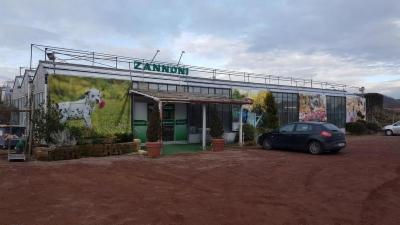 Zannoni Garden Giardini Paesaggio  - Foto 2