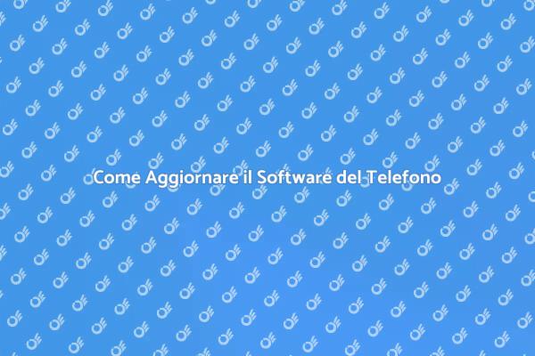 L'importanza di Aggiornare il Software