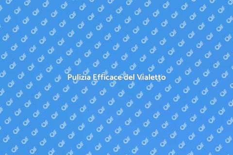 Lavare a Pressione il Vialetto
