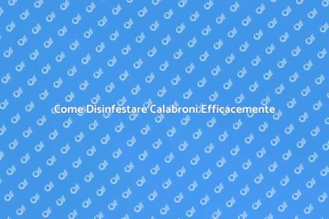 Disinfestare Calabroni: Guida Completa