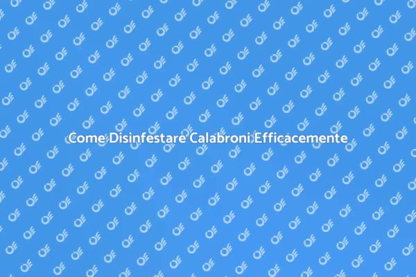 Disinfestazione Calabroni: Ecco Come Fare