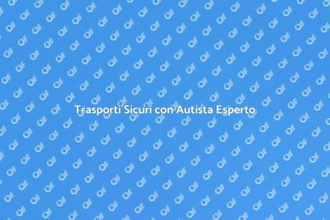 Sicurezza nei Trasporti con Autista