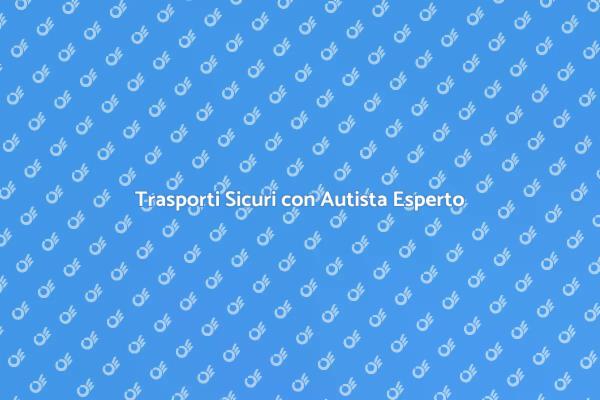 Viaggi Sicuri con Autista Professionale