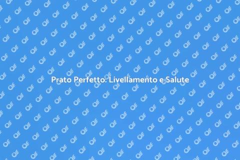 Livellamento Prato per Giardini Sani