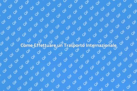 Trasporto Internazionale: Guida Completa