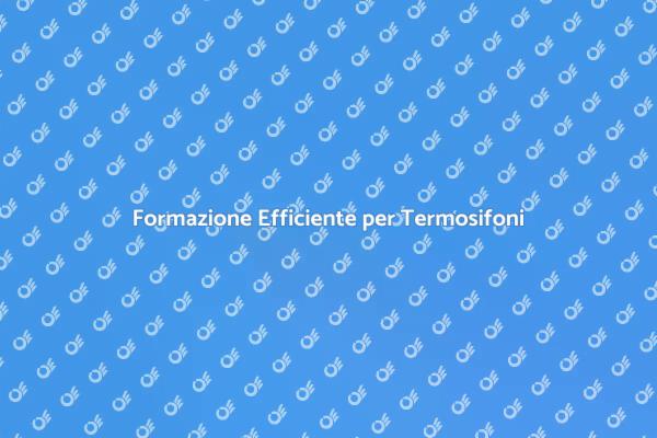 Formazione Professionale sui Termosifoni